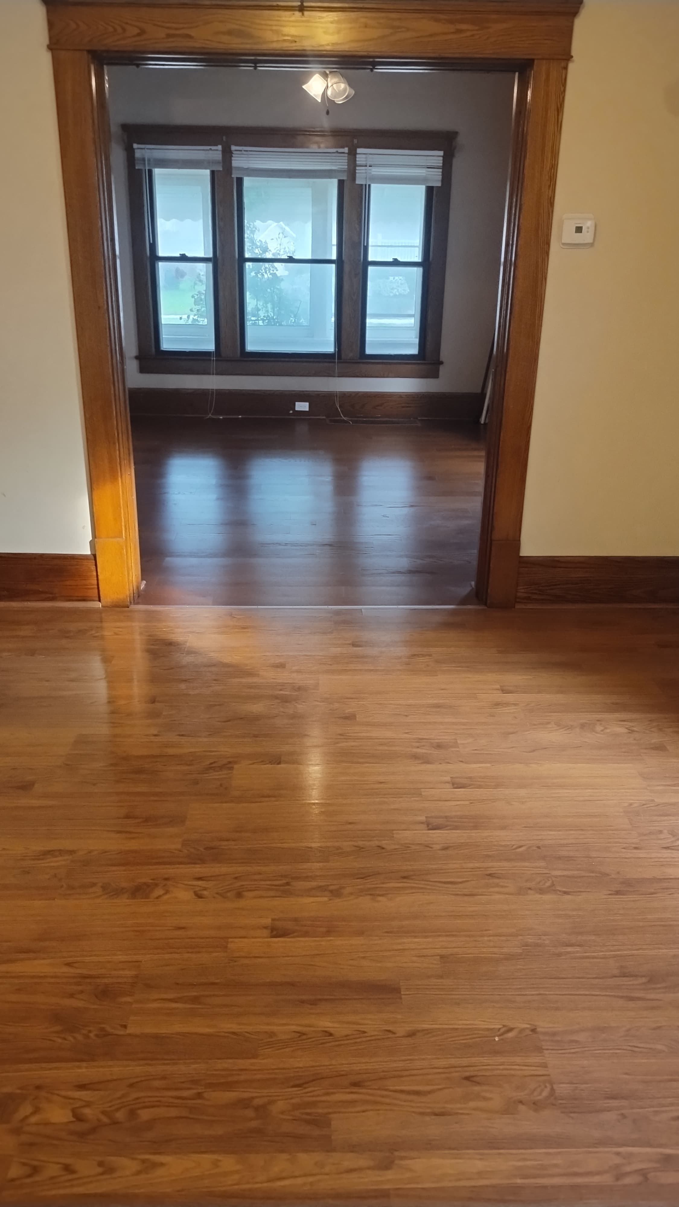 Freshly finished hardwood floor 2