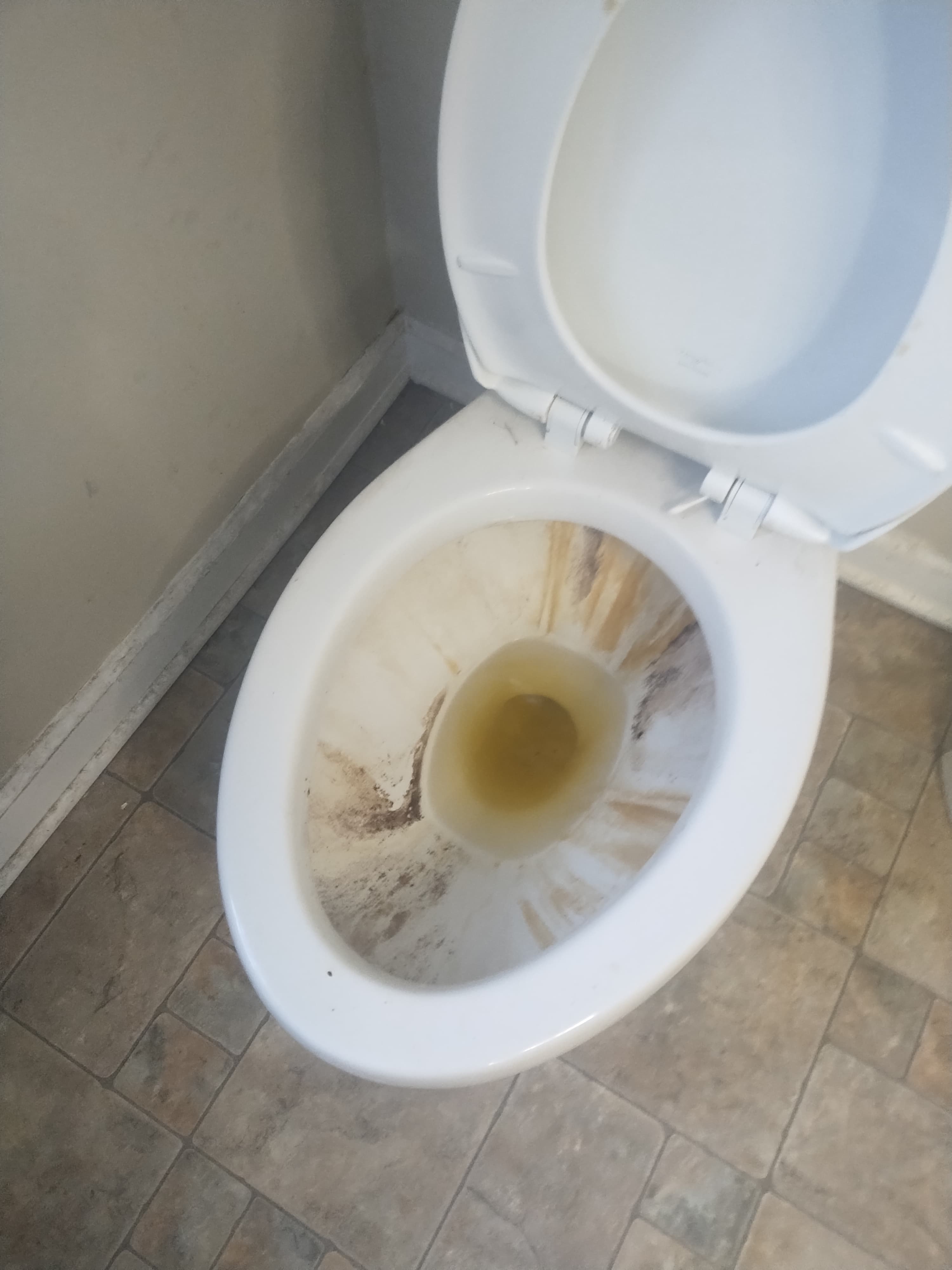 Before cleaning